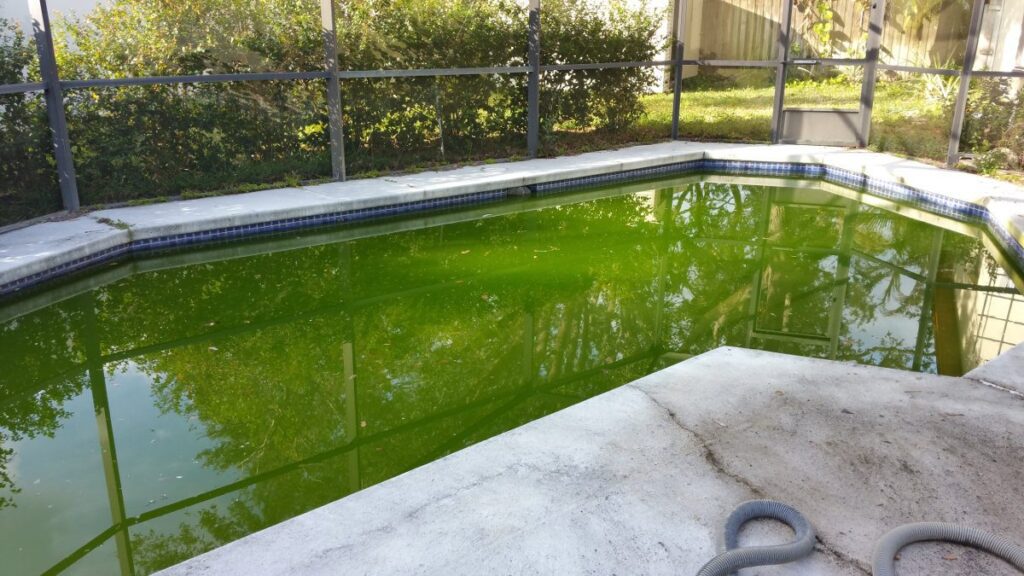 Casselberry house pool before renovation